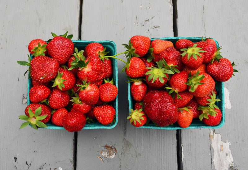 A Berry Fun Day At The Farm!