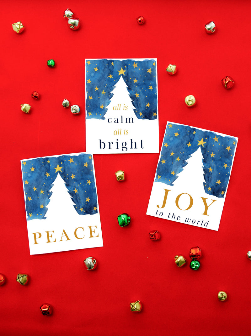 3 Pack Bundle Winter Holiday Card Set,Joy To The World Card,Peace Holiday Card,All is Calm Christmas Card,Christian Holiday Variety Card Set
