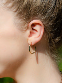 Pretty Edgy Earrings