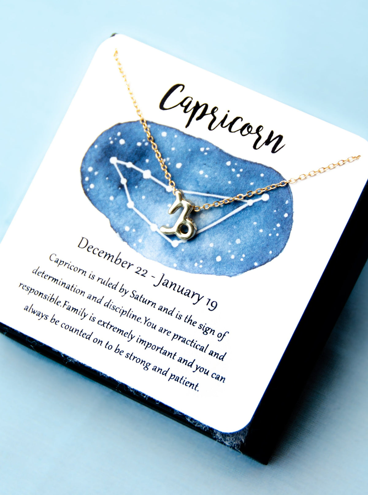 Zodiac Capricorn Astrological Necklace