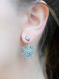 Sparkle and Shine Earrings