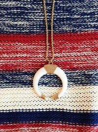 long pendant horn boho style necklace